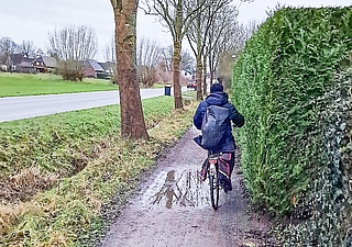 Der Landesbetrieb Straßenbau und Verkehr hat verboten, dass Radfahrende den Gehweg an der Rosenstraße nutzen. Wegen Schäden sollen sie auf die Straße ausweichen. (Foto: Sören Hamann)