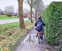 Der Landesbetrieb Straßenbau und Verkehr hat verboten, dass Radfahrende den Gehweg an der Rosenstraße nutzen. Wegen Schäden sollen sie auf die Straße ausweichen. (Foto: Sören Hamann)