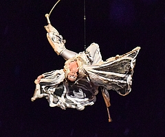 Eine Luftakrobatin tanzte im Engelskostüm am Himmel über Elmshorn, gehalten von fast unsichtbaren Seilen am Haken eines Krans. (Foto: Frank)