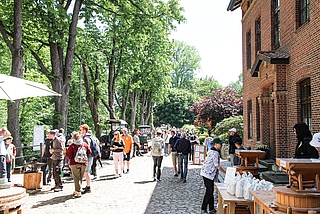 Historische Treckermodelle und vieles mehr konnten die Besucherinnen und Besucher am vergangenen Montag beim 30. Deutschen Mühlentag rund um die Rantzauer Wassermühle sehen und erleben. (Foto: Meyer-Lutz)