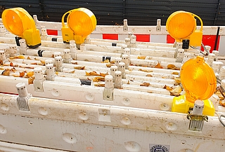 Absperrungen – längst ein gewohntes Bild. (Foto: Strandmann)