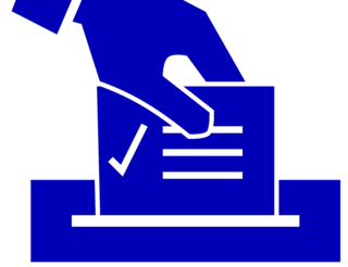 Bei der Auszählung in der Stadt Pinneberg wurden nicht alle Stimmen berücksichtigt. (Foto: pixabay)