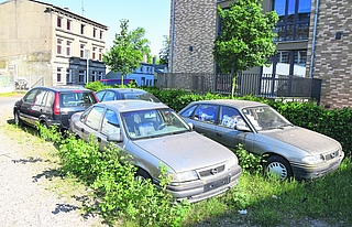 Ein privates Grundstück am Osterfeld bei den Knechtschen Hallen: Dort stehen 13 abgemeldete, teils vermüllte und defekte Fahrzeuge. Einige wachsen langsam zu. Die Stadt sagt, sie könne nicht eingreifen. (Foto: Frank)