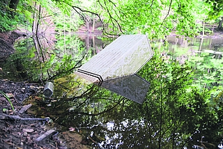 Ein Stromverteilerkasten ist bedrohlich weit in den See im Liether Wald gesunken. Nach Kenntnis der Stadtwerke Elmshorn soll er keinen Strom mehr führen. Verantwortlich ist aber die Stadt Elmshorn. (Foto: Frank)